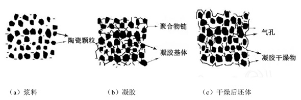 凝膠注模成型陶瓷膜詳細操作步驟